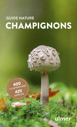 Champignons : guide nature