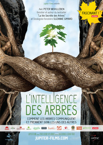  L'Intelligence des Arbres, au cinéma