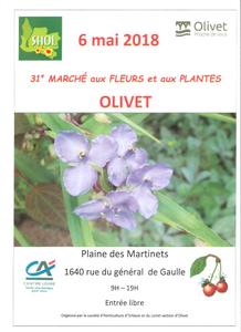 Marché aux fleurs et aux plantes
