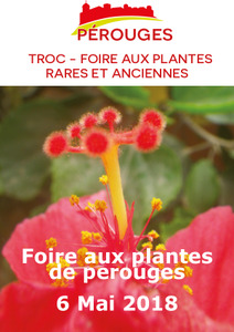 Foire aux plantes rares et anciennes