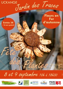 Fête des plantes - Fleur en Fer d'automne