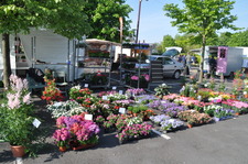 10ème Grande Fête du Printemps