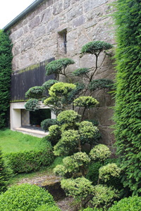 Stage de taille au jardin L'Atelier Perros Guirrec