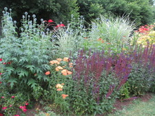 Stage Dessiner son jardin