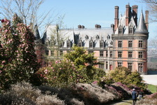 Trévarez en camélia