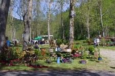 Marché aux plantes et de terroir de Rochepaule