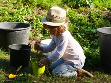 Activité familles « Les mains dans la terre » au Domaine du Rayol