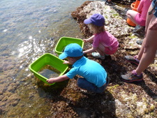 Les pieds dans l’eau - Activités familles au Domaine du Rayol