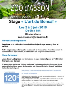 Formation à l'Art du Bonsaï
