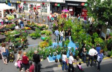 Le marché de l'Herboriste