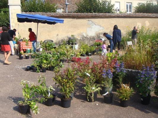 Foire aux plantes
