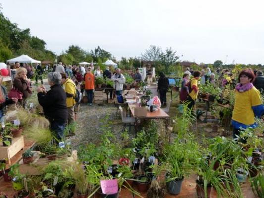 Vide Jardin - 13e édition