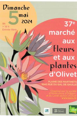 Marché aux fleurs et aux plantes - 37e édition