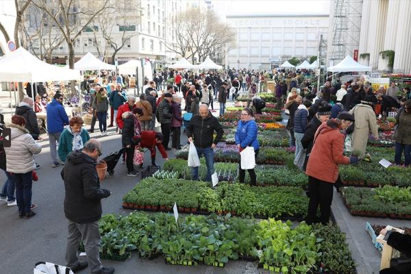 Marché aux plantes