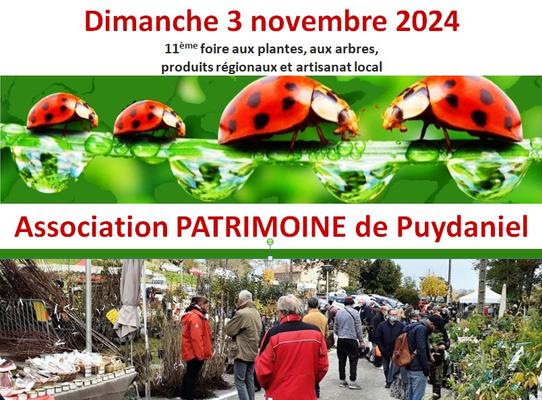 Foire aux plantes Foire aux plantes