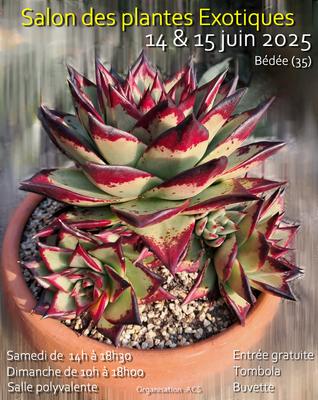 Salon des plantes exotiques