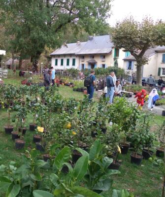 festival des plantes en montagne noire festival des plantes en montagne noire