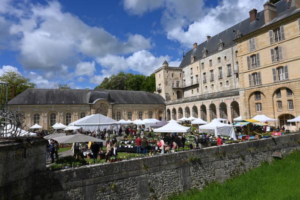 Plantes Plaisirs Passions