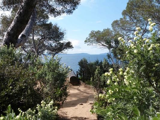 Visite thématique : Qui prend racine en bord de mer ? 