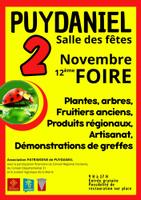 Foire aux plantes et artisanat local