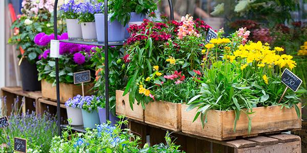 4e Fête des fleurs de Plouigneau – Plan d’eau de Plouigneau – 12 Avril 2026