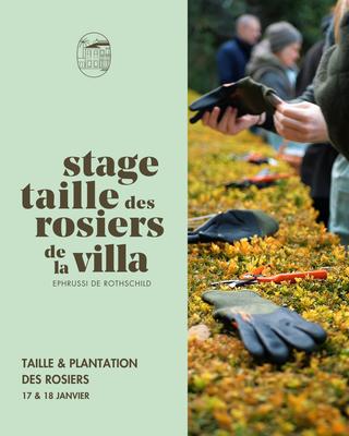 Stage de taille de rosiers dans les jardins de la Villa Ephrussi