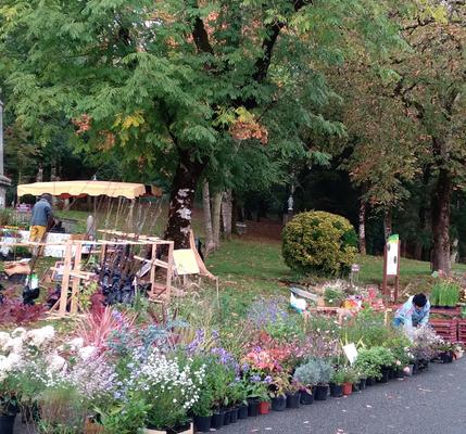 Festival des Plantes en Montagne Noire