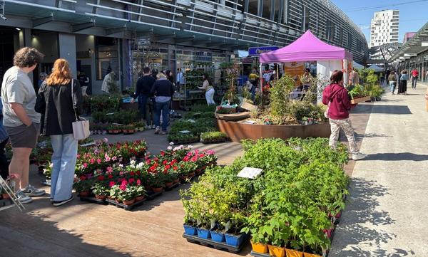 Marché aux plantes de la Ville de Vaulx-en-Velin