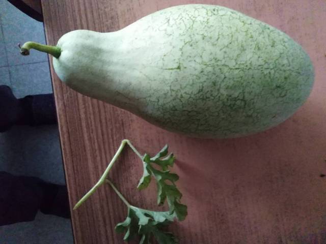 Quel est ce légume?