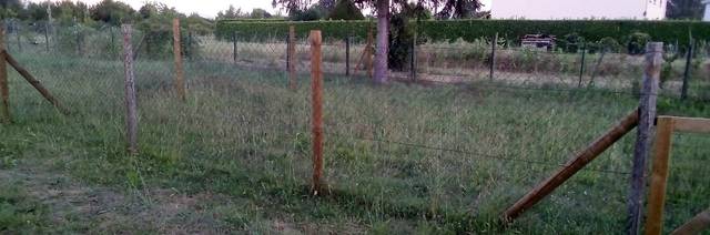 Quels légumes peut t'on semer, repiquer ou planter dans un jardin au sol argileux?