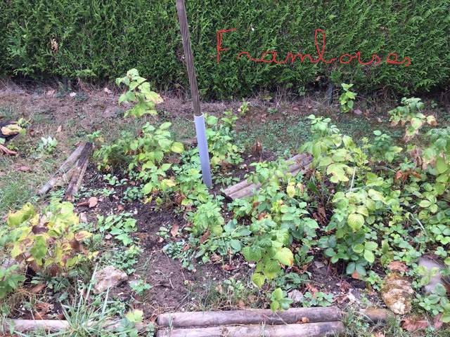 Compost non efficace