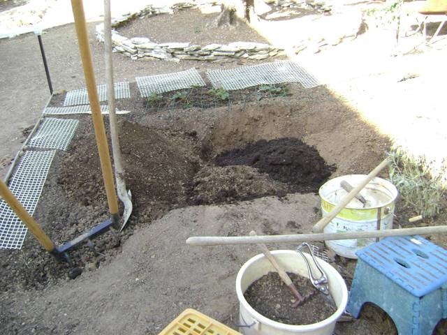 Potager sans vie