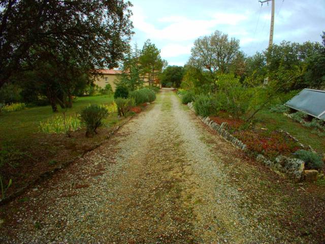 Création allée provençale