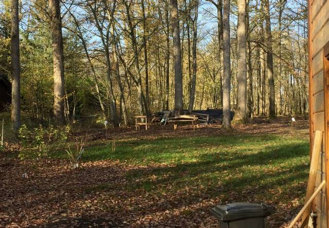 Haies fleuries dans sol argile-schisteux