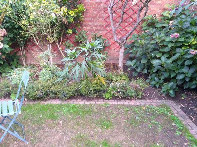 Drainage d'un jardin