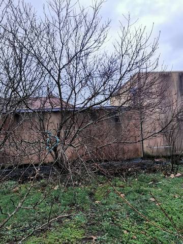 Pecher à rajeunir