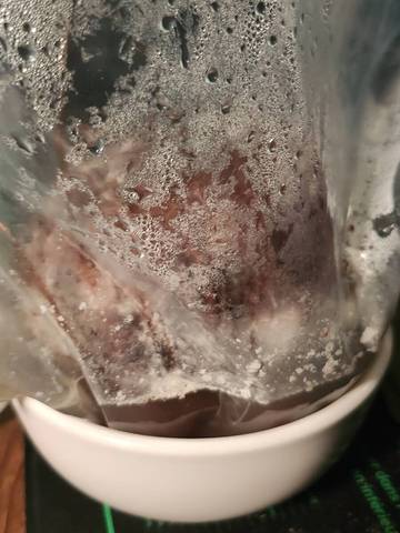 À propos de mes noix de coco pour faire germer