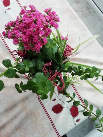 Fleurs en pots