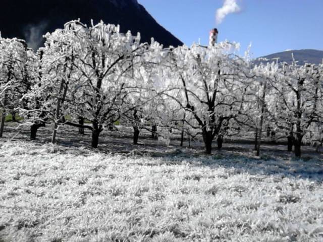 L'hiver qui fait du bien