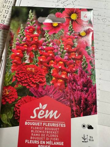 Semis de fleurs 